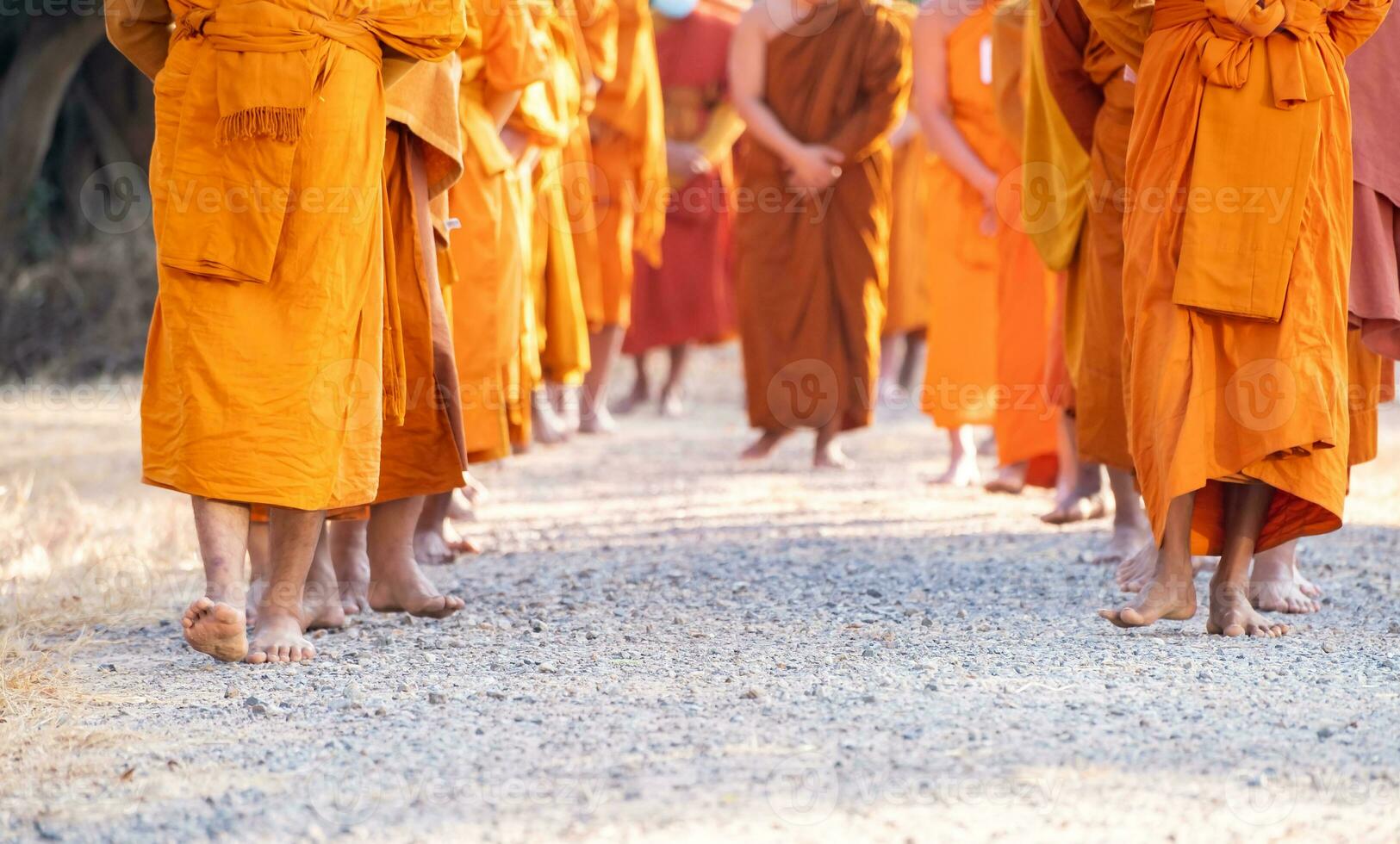 Monks walking for meditation, practicing religious physical exercises, performing religious ceremonies, dressing, praying. photo