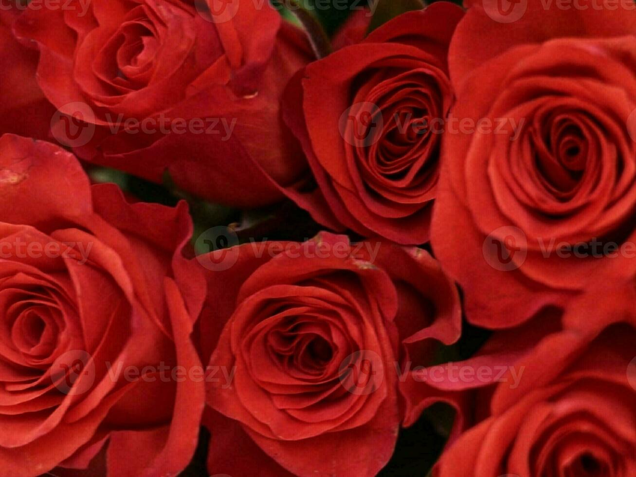 Love Blossoming in a Delicate Floral Bouquet photo