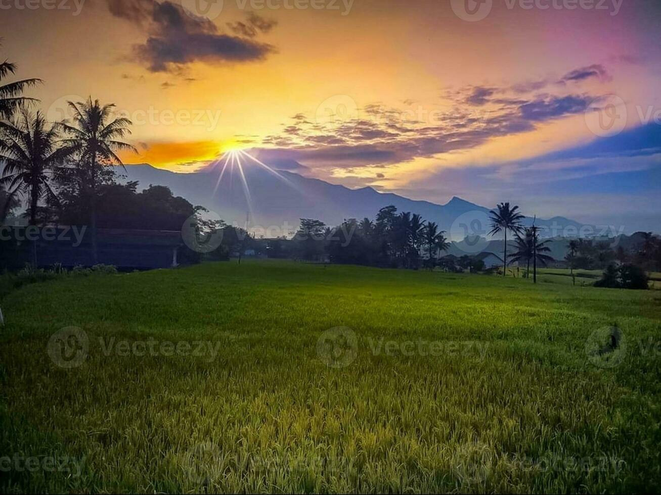 Sunrise over Tranquil Green Meadow with Mountains and Trees photo