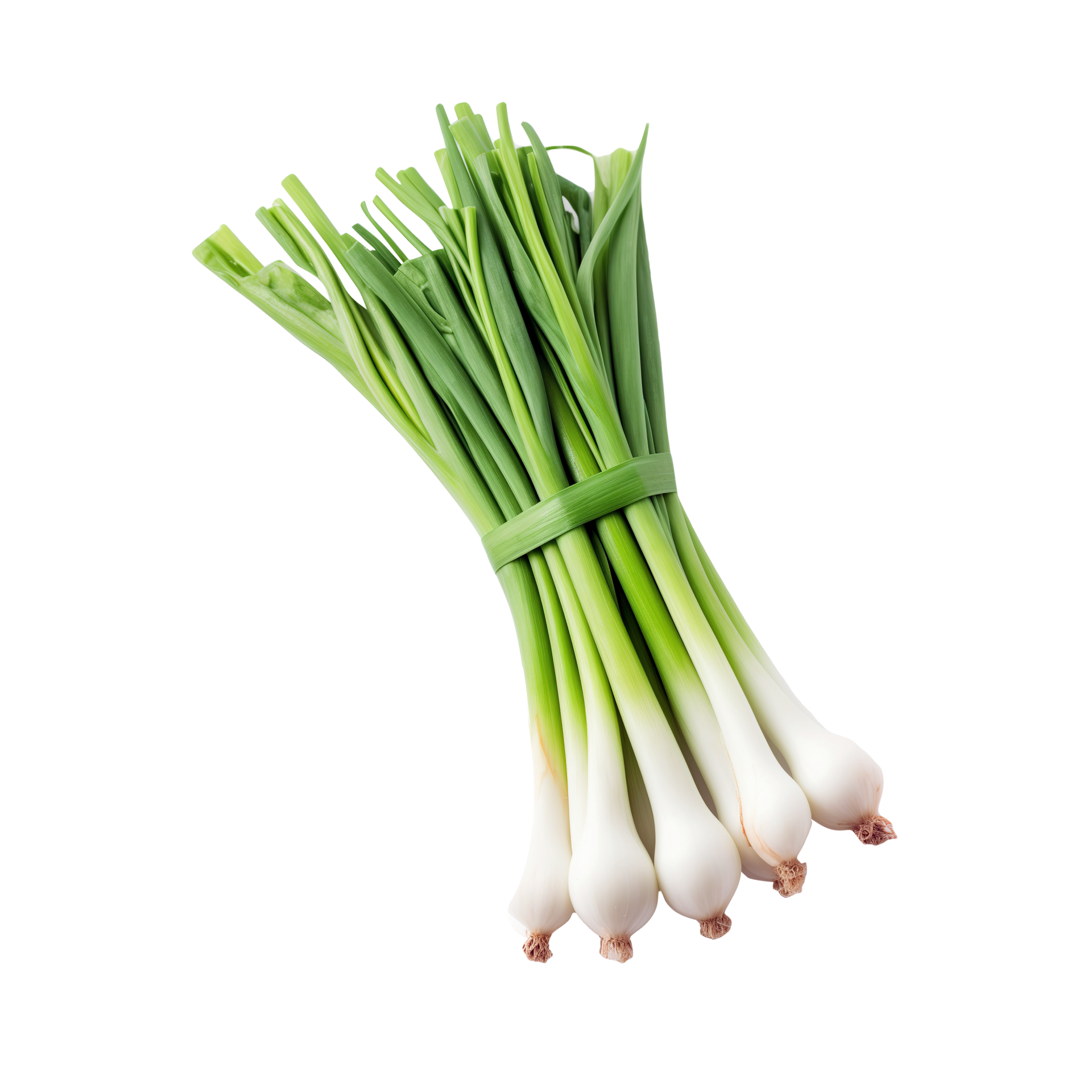 AI generated Fresh spring onions isolated on transparent background
