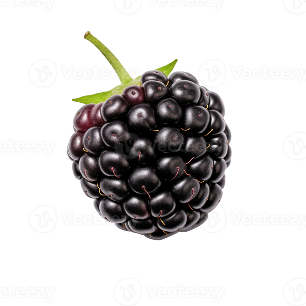AI generated Blackberry fruit isolated on transparent background