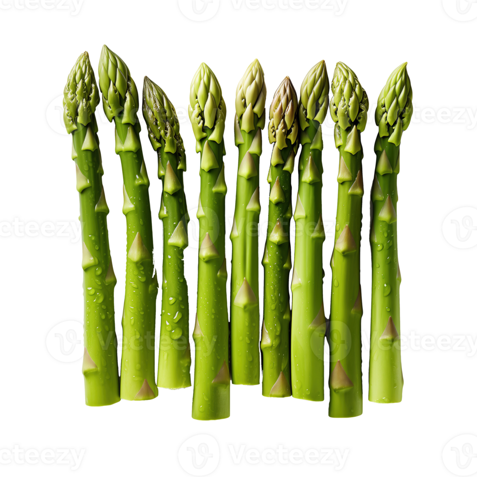 AI generated Green asparagus isolated on transparent background png