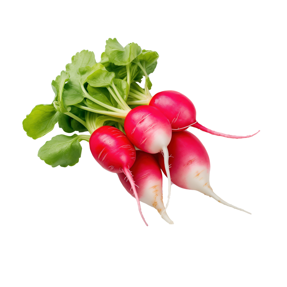 AI generated Red radish isolated on transparent background png