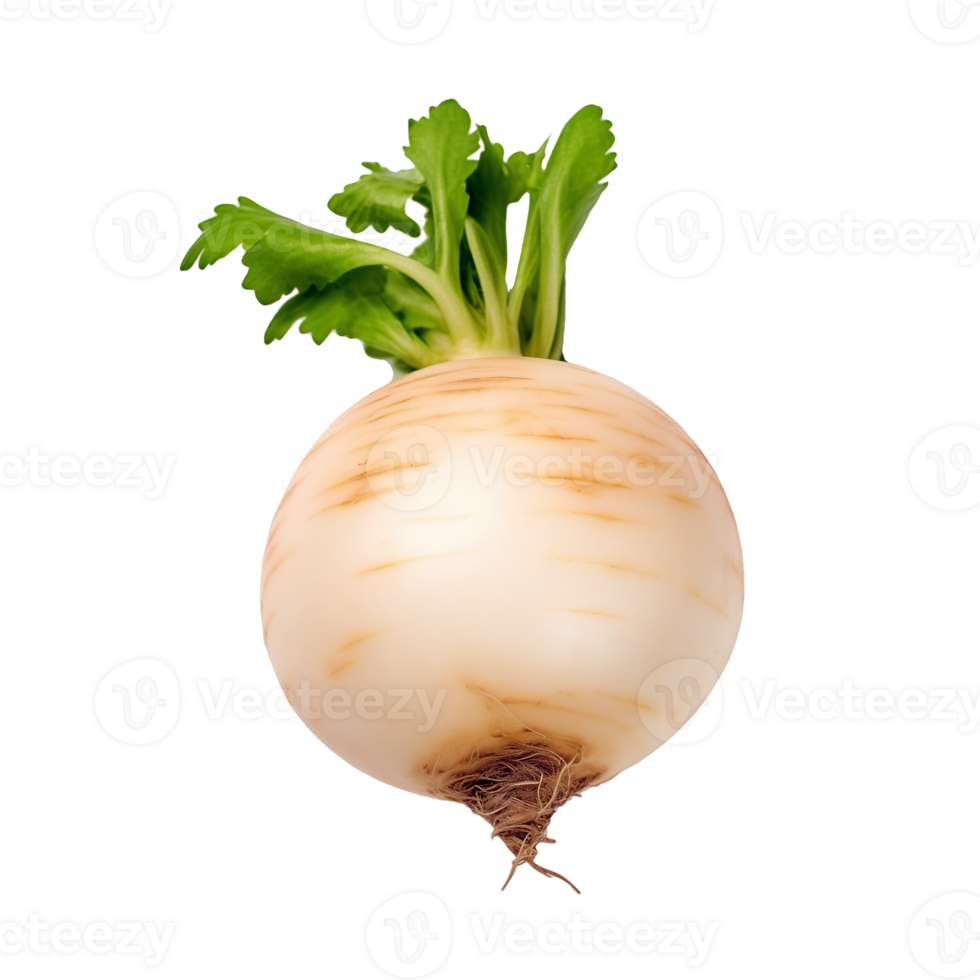 AI generated Fresh white radish isolated on transparent background png
