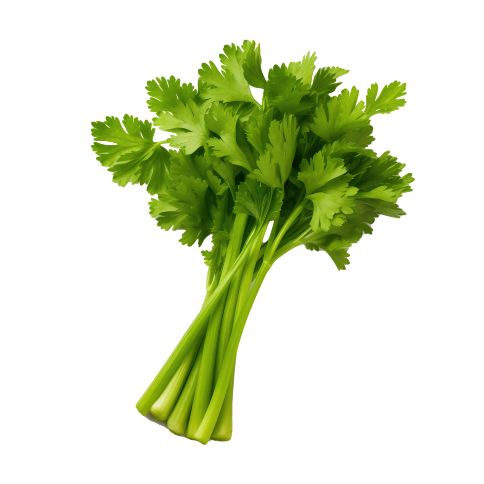 AI generated Fresh celery bunch isolated on transparent background png