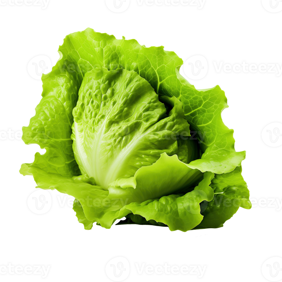AI generated Lettuce isolated on transparent background png