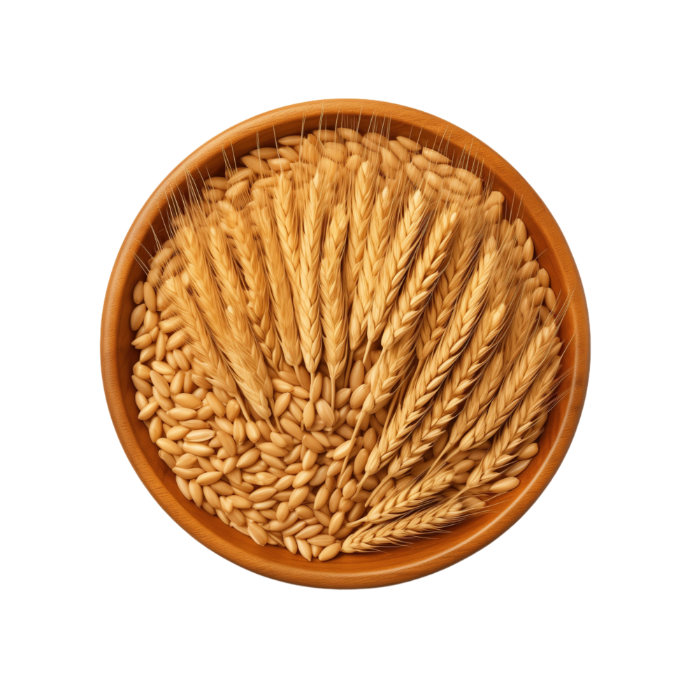 AI generated Spikelets of wheat in a wooden bowl isolated on transparent background png