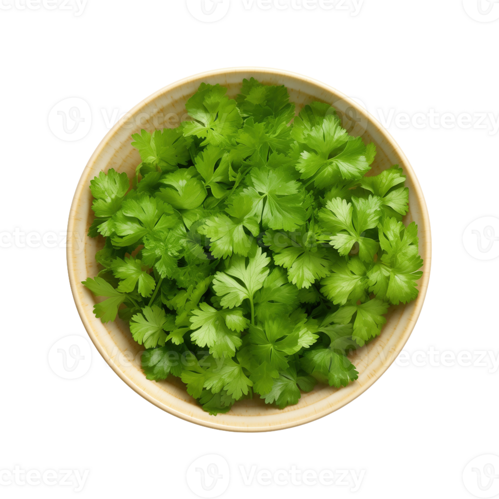 AI generated Bowl with fresh green parsley on transparent background png