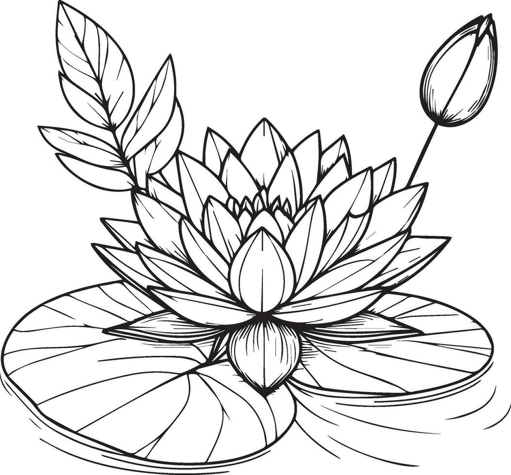 Waterlily flower coloring book hand drawn botanical spring elements bouquet of waterlily line art, coloring page, vector sketch, artistic simplicity doodle art, Easy waterlily flower drawing