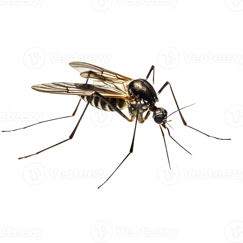 AI generated Mosquito AI Generated png