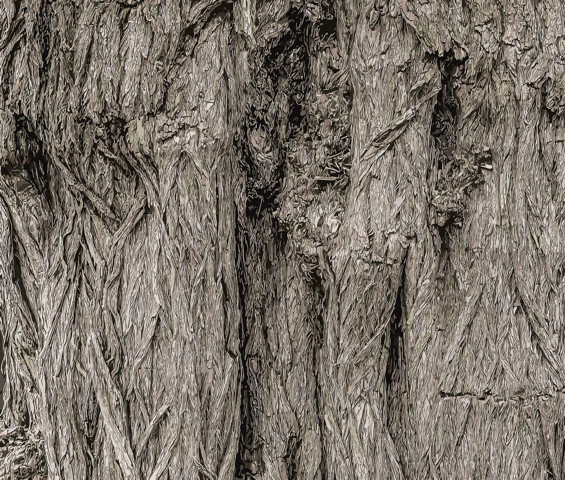 Vector illustration of a colorful background with Robinia bark and sunlight. Tree bark texture.