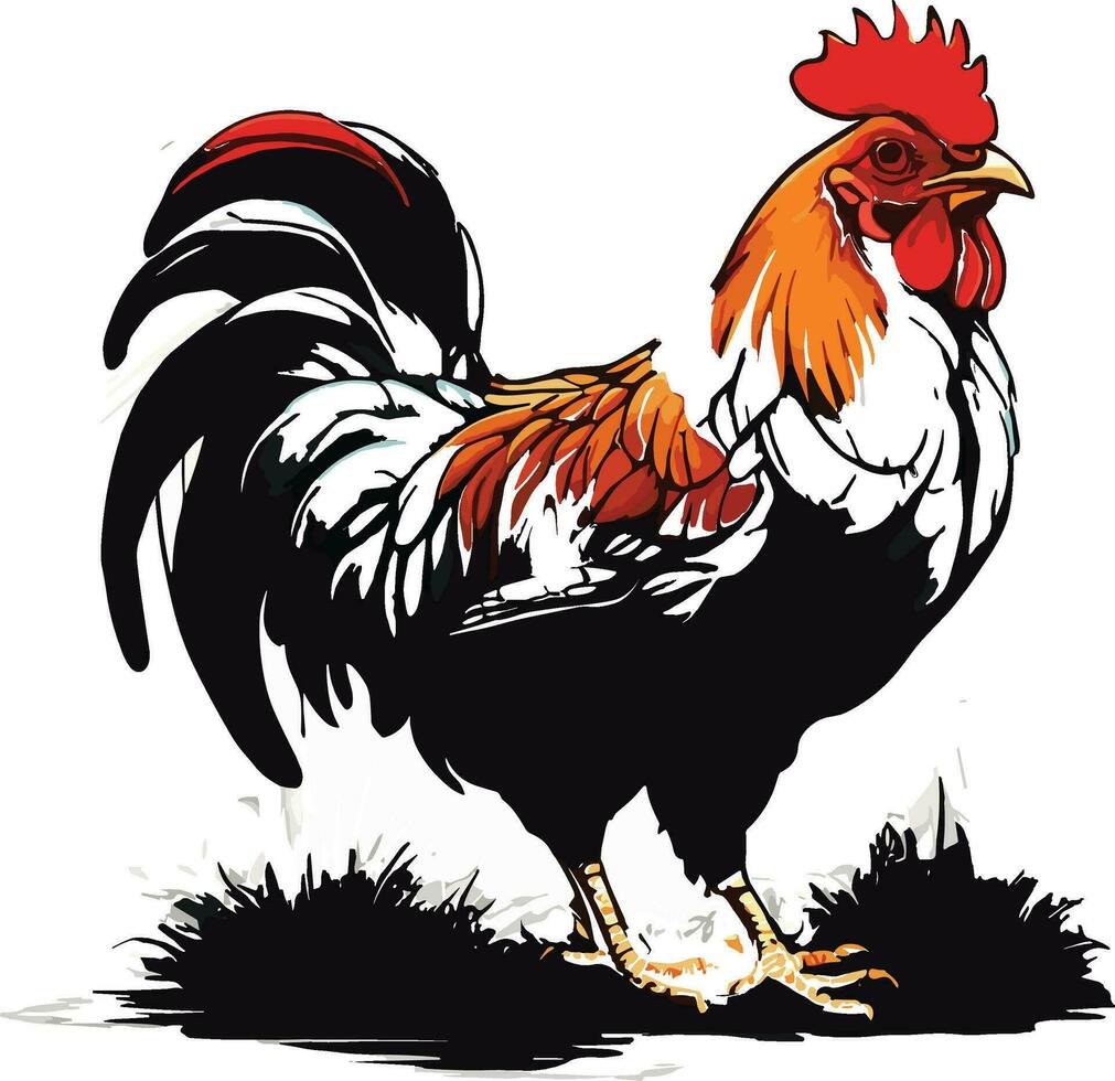Vector illustration. Black silhouette of a rooster standing on one leg. Isolated on a white background.