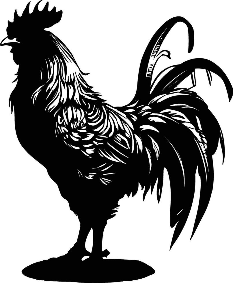 Vector illustration. Black silhouette of a rooster standing on one leg. Isolated on a white background.
