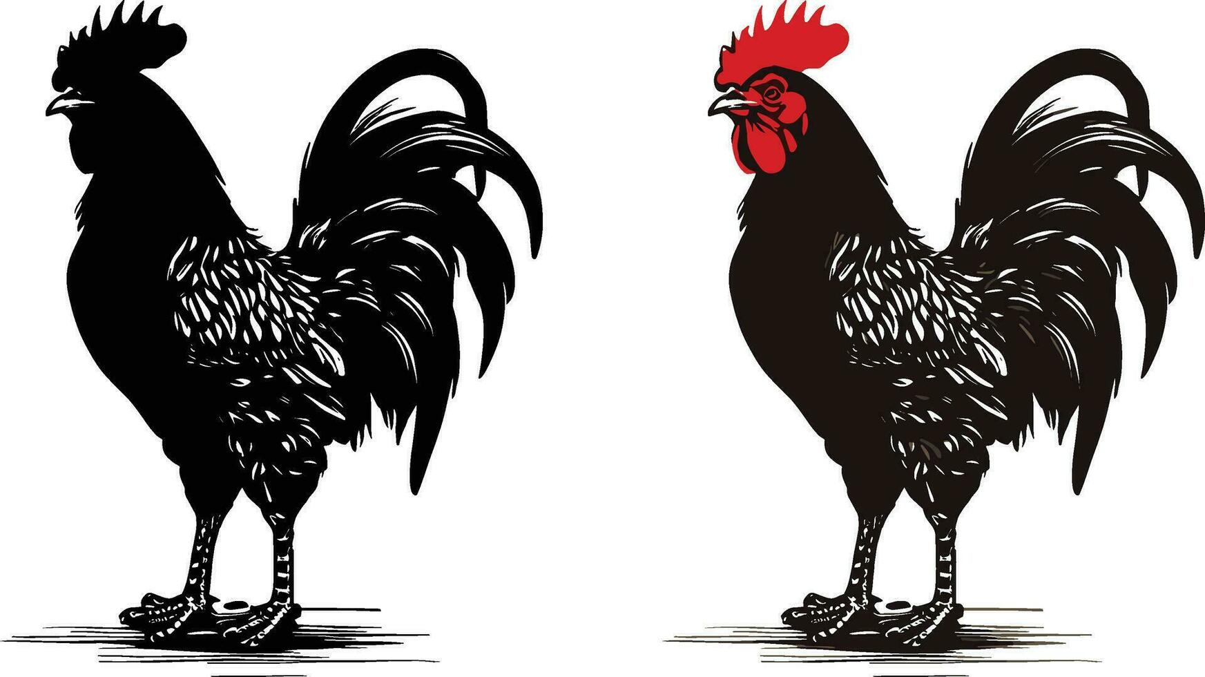 Vector illustration. Black silhouette of a rooster standing on one leg. Isolated on a white background.