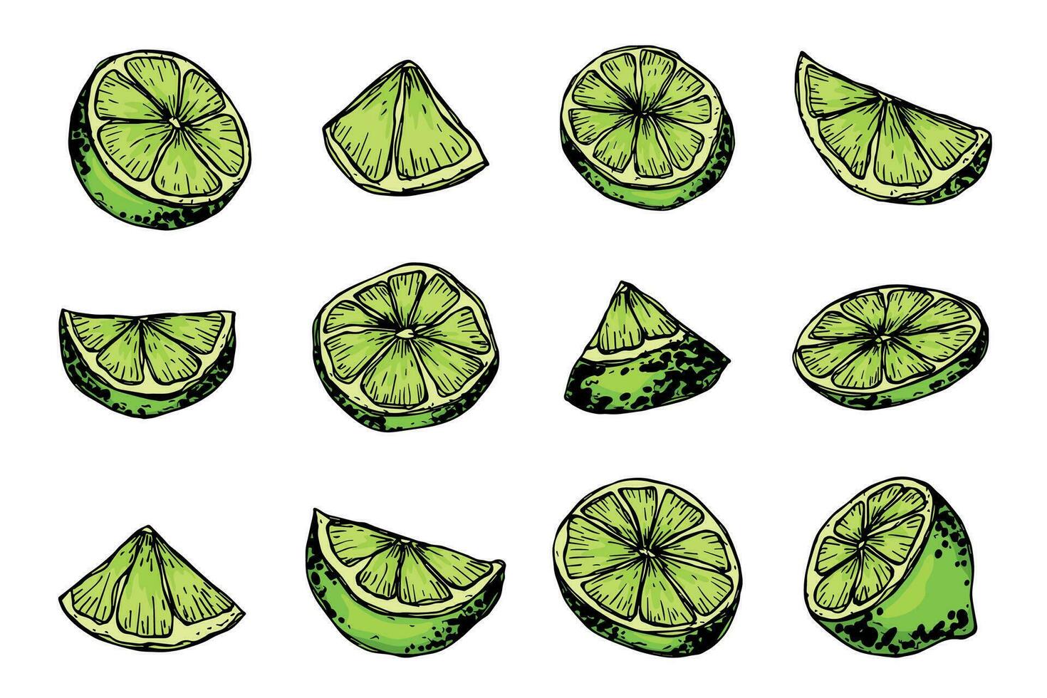 Vector lime clipart. Hand drawn citrus set. Fruit illustration. For print, web, design, decor