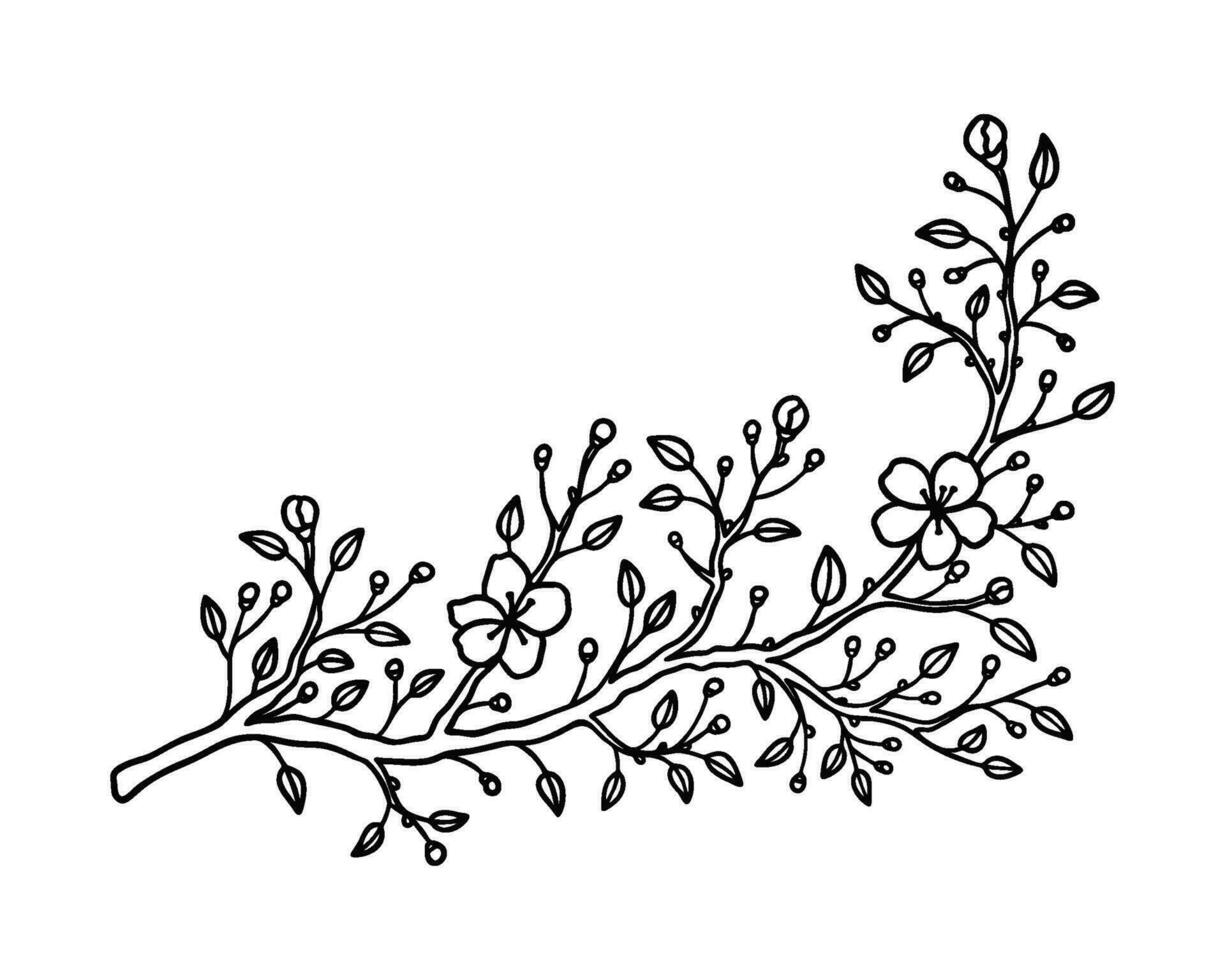 Cherry, sakura, almond, apple, plum spring blossom in line art style. Japanese flower ranch sketch. Outline hand drawn simple illustration. Design element for wedding invitation, tattoo designs vector