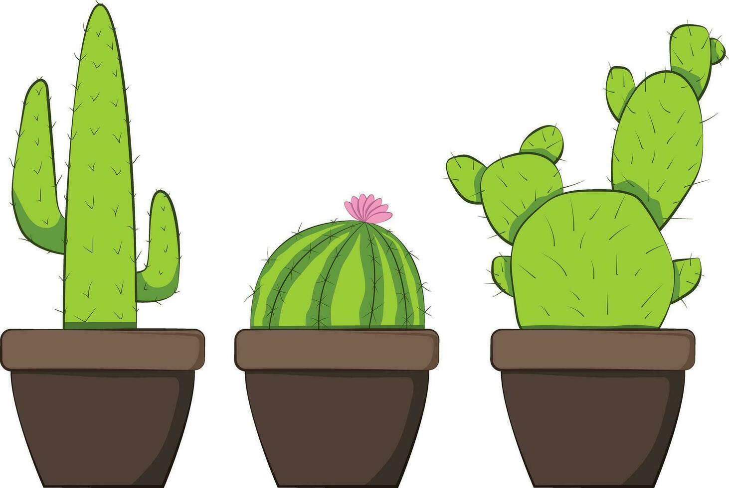 three cactus illustrations with details vector
