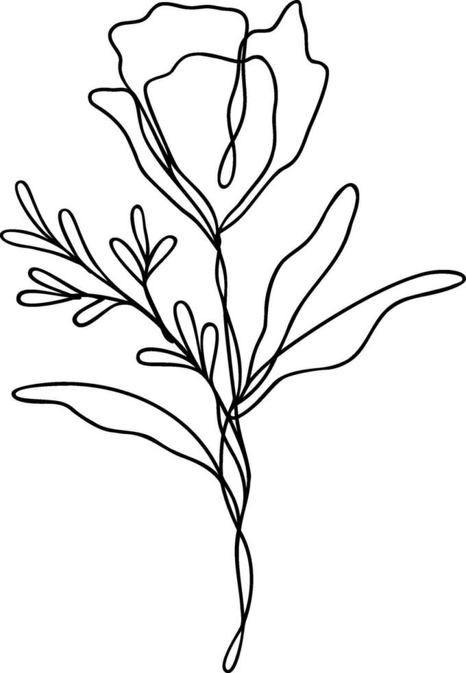 Flower Line Art Continuous vector