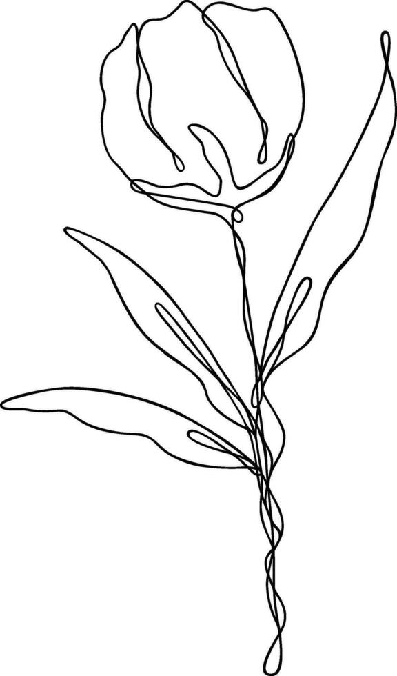 Flower Line Art Continuous vector