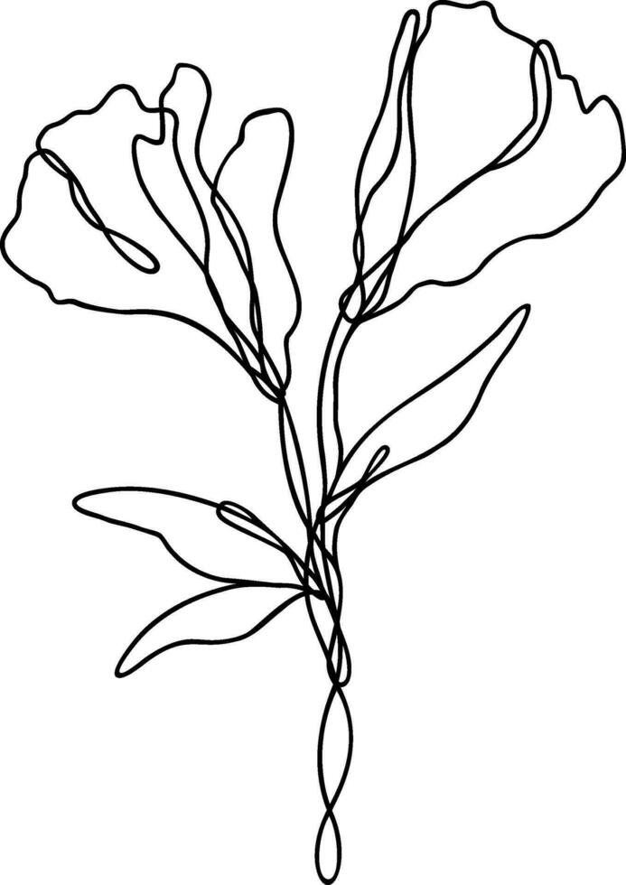 Flower Line Art Continuous vector