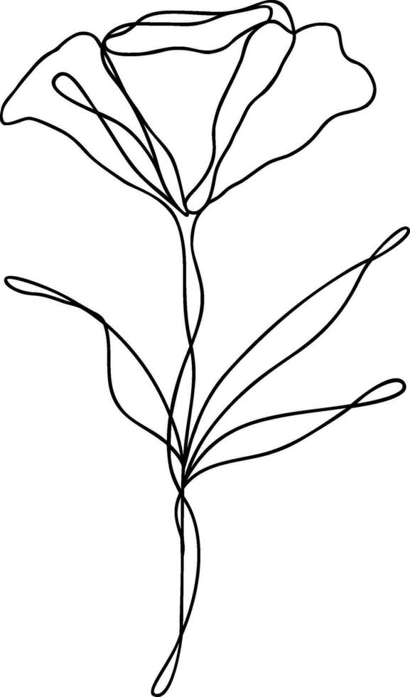 Flower Line Art Continuous vector