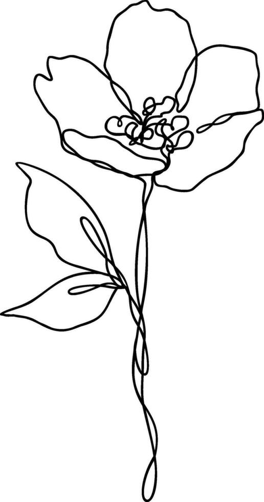 Flower Line Art Continuous vector