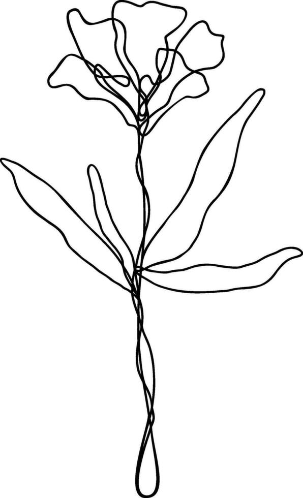 Flower Line Art Continuous vector