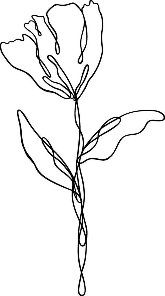 Flower Line Art Continuous vector