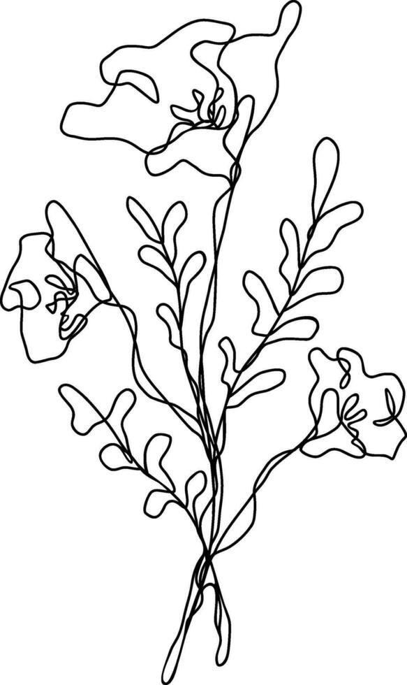Flower Line Art Continuous vector