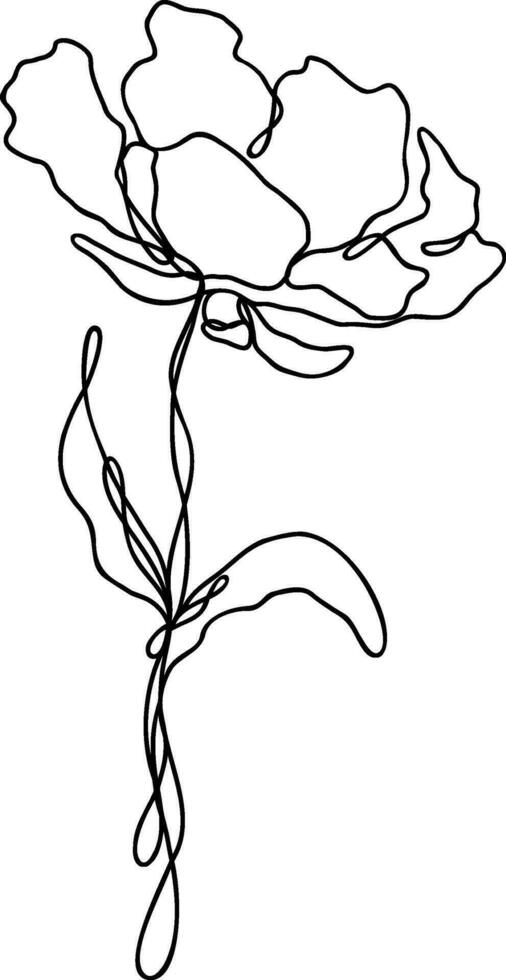 Flower Line Art Continuous vector
