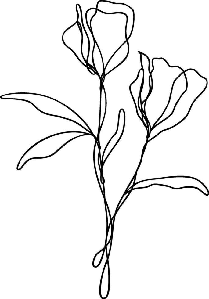 Flower Line Art Continuous vector