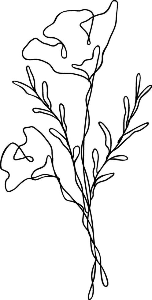 Flower Line Art Continuous vector