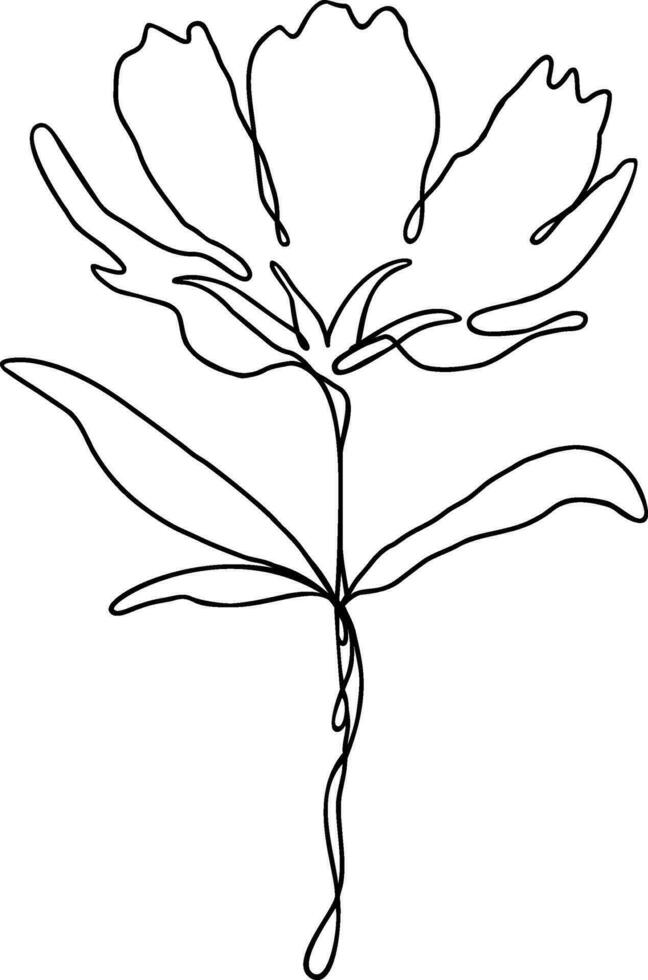 Flower Line Art Continuous vector