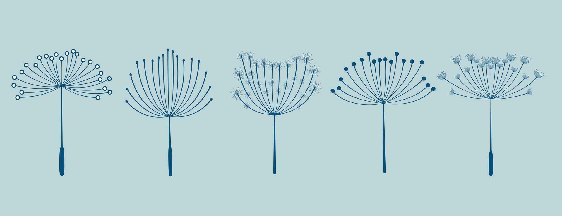 set of five dandelion flowers seeds vector