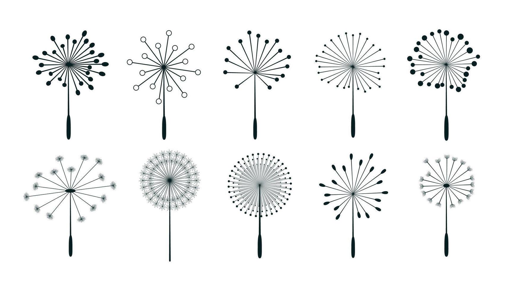 set of dandelion flower seeds design vector