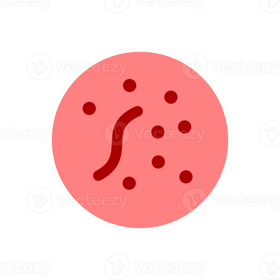 microbio bacterias y virus png