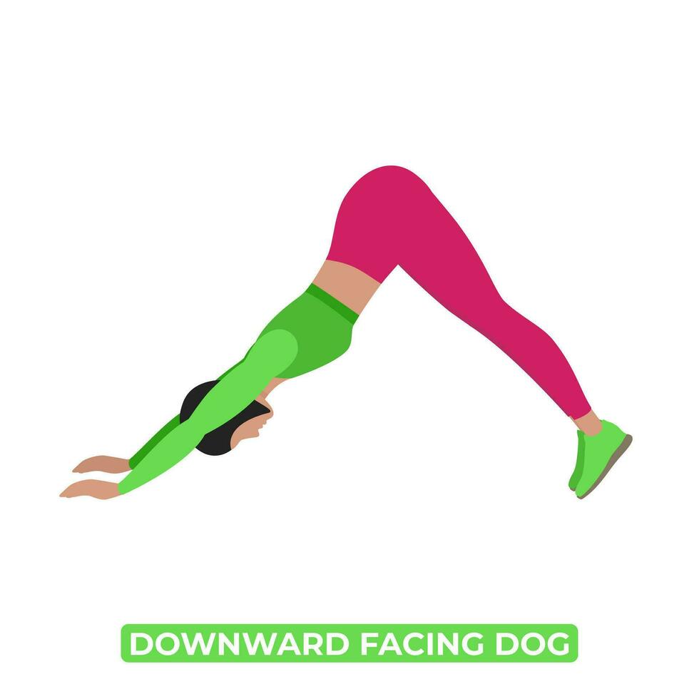 Vector Woman Doing Downward Facing Dog Stretch. Adho Mukha Svanasana. An Educational Illustration On A White Background.