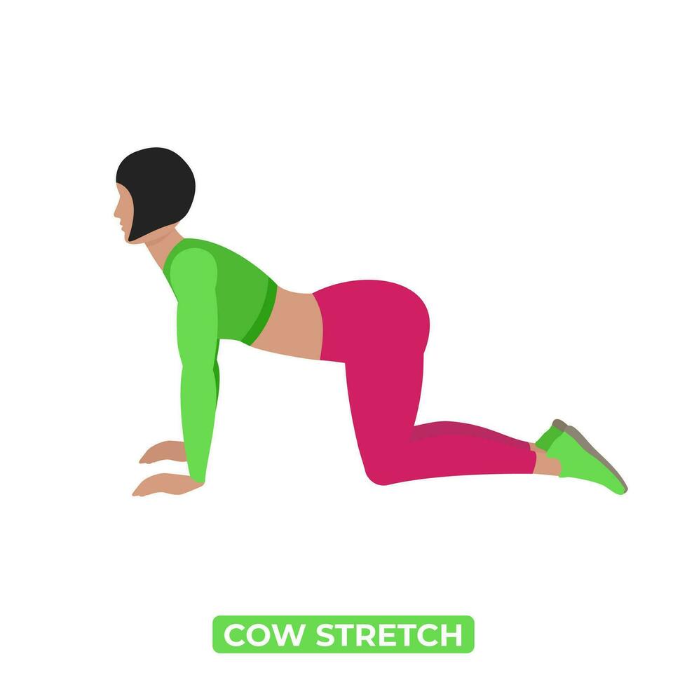 Vector Woman Doing Cow Stretch. Bitilasana. An Educational Illustration On A White Background.