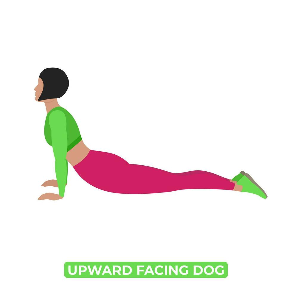 Vector Woman Doing Upward Facing Dog Stretch. Urdhva Mukha Svanasana. An Educational Illustration On A White Background.