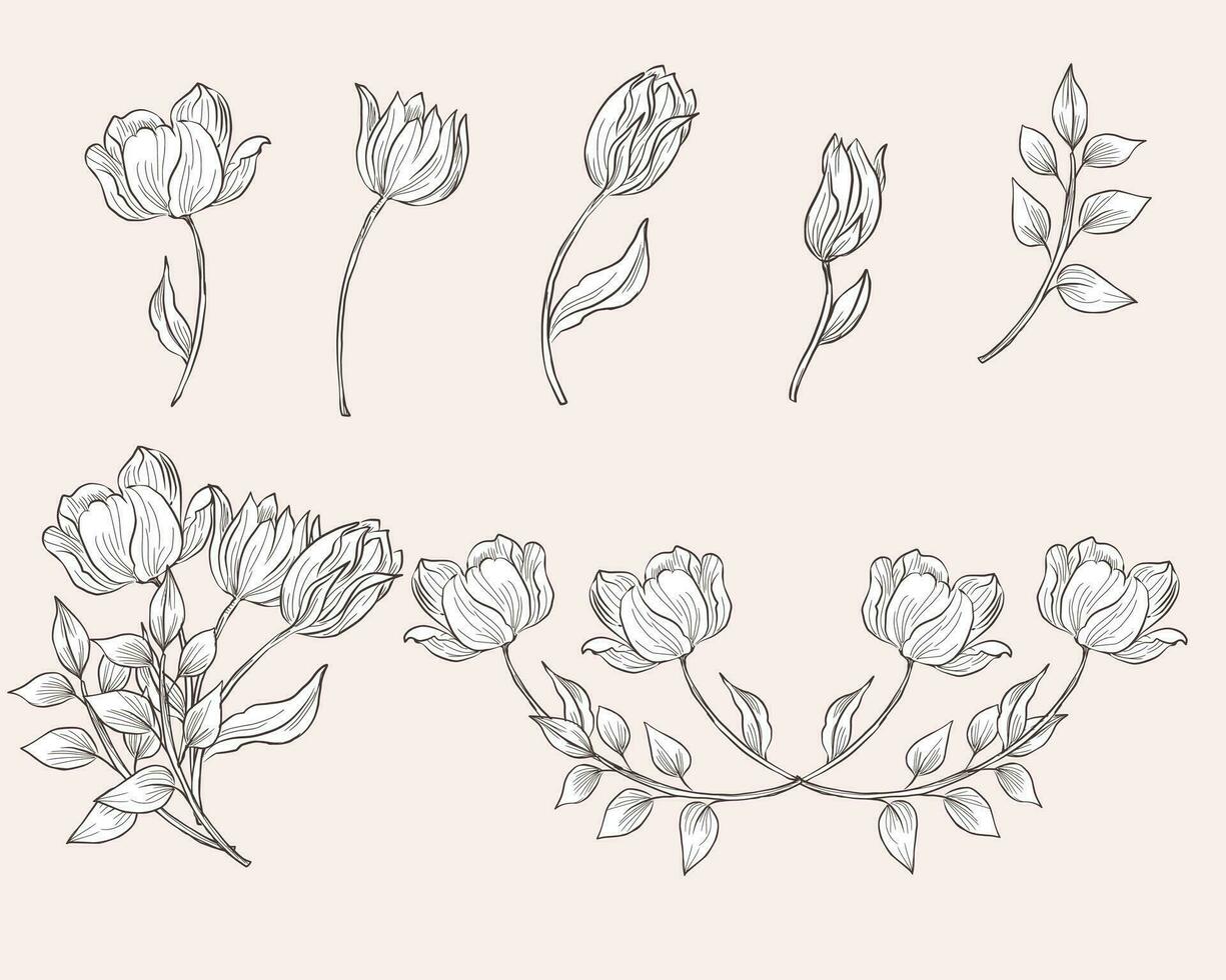 mano dibujado Clásico tulipán flor vector