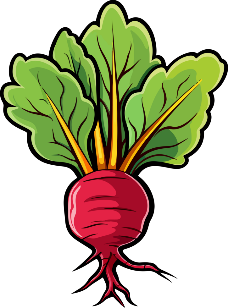 AI generated Beetroot clipart design illustration png