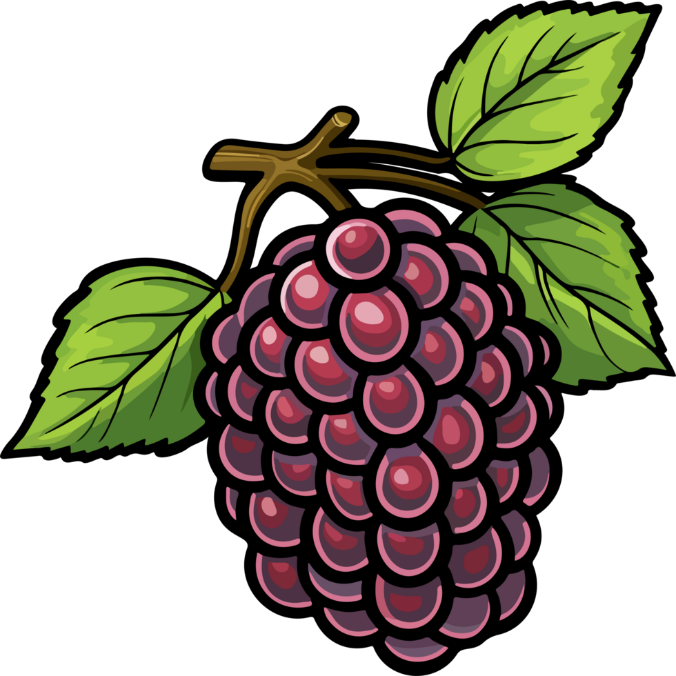 AI generated Blackberry clipart design illustration png