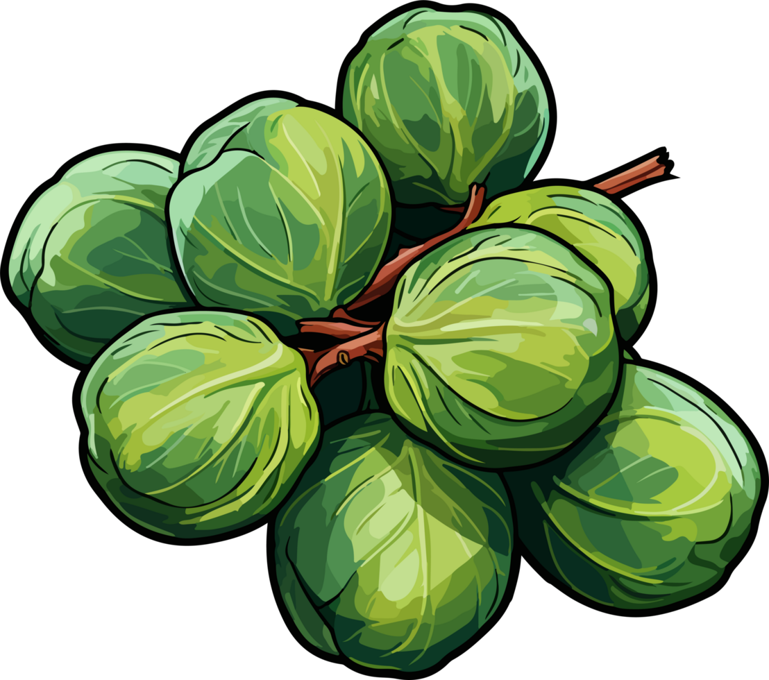 AI generated Brussels sprout clipart design illustration png