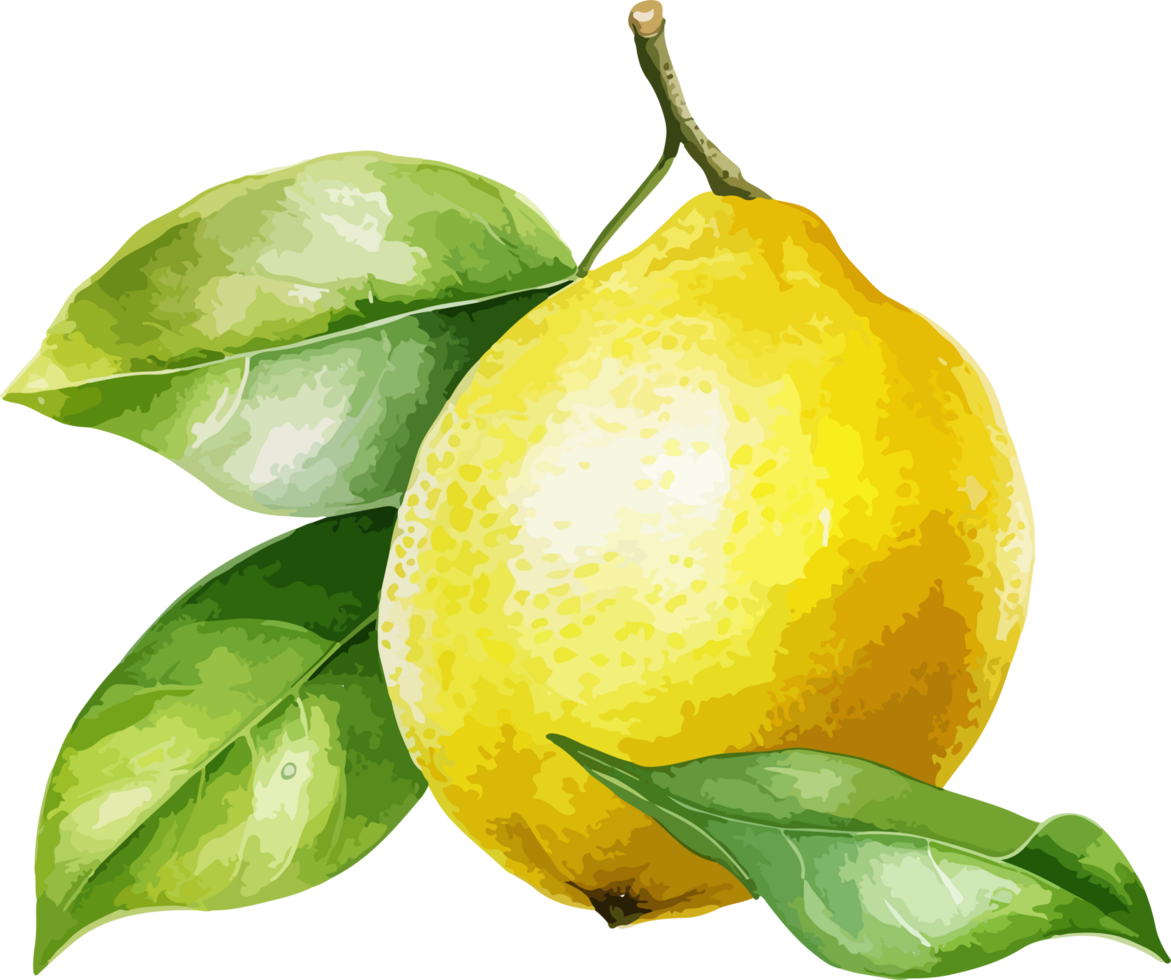 AI generated Watercolor lemon clipart design illustration png