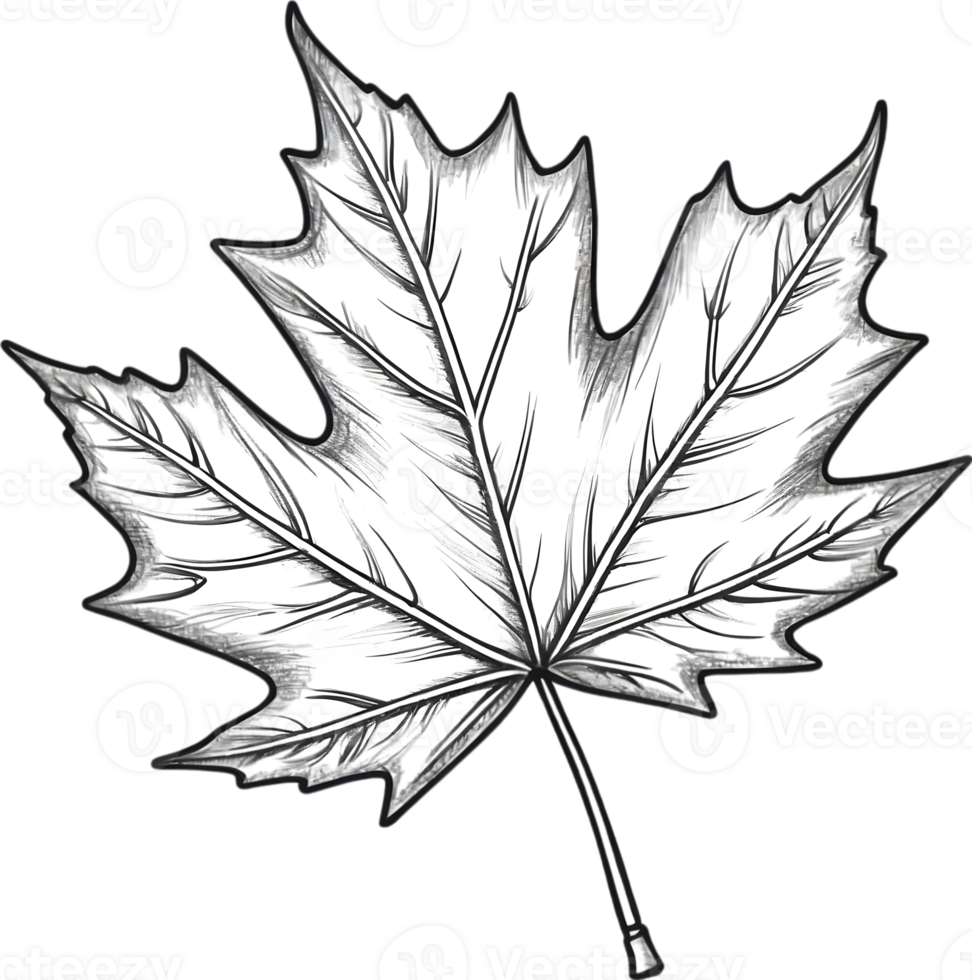 AI generated maple leaf clipart - clipart png
