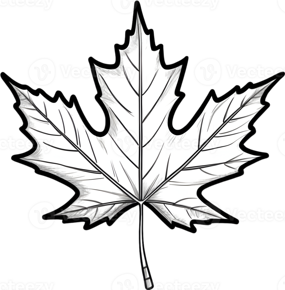 AI generated maple leaf clipart - clipart png
