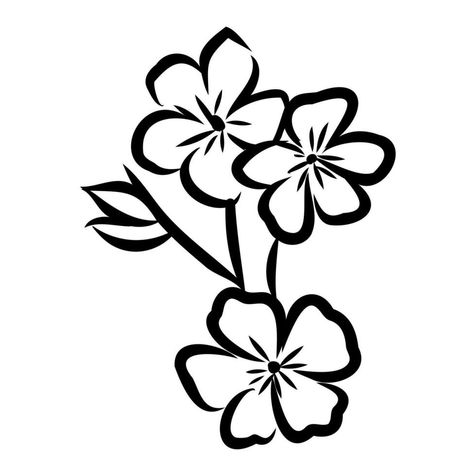 decorative flowers vector sketch