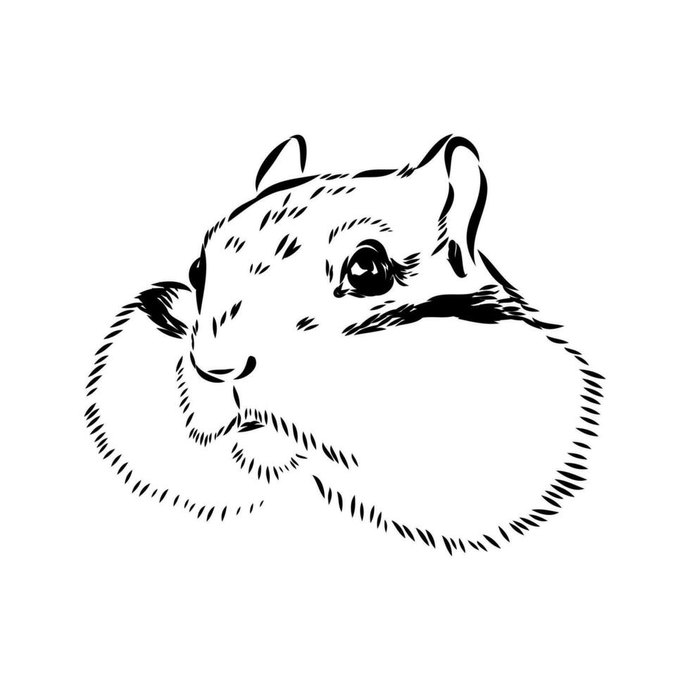 chipmunk vector sketch