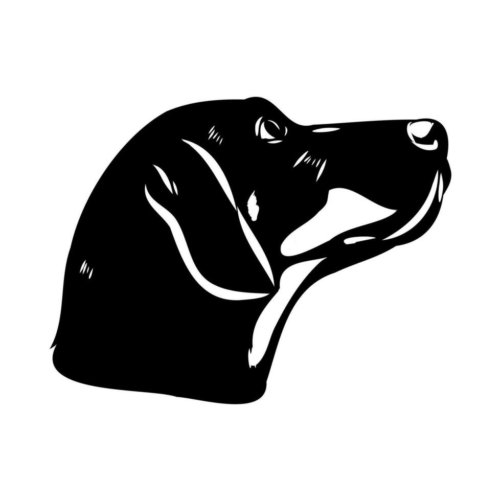 Austrian black and tan hound vector sketch