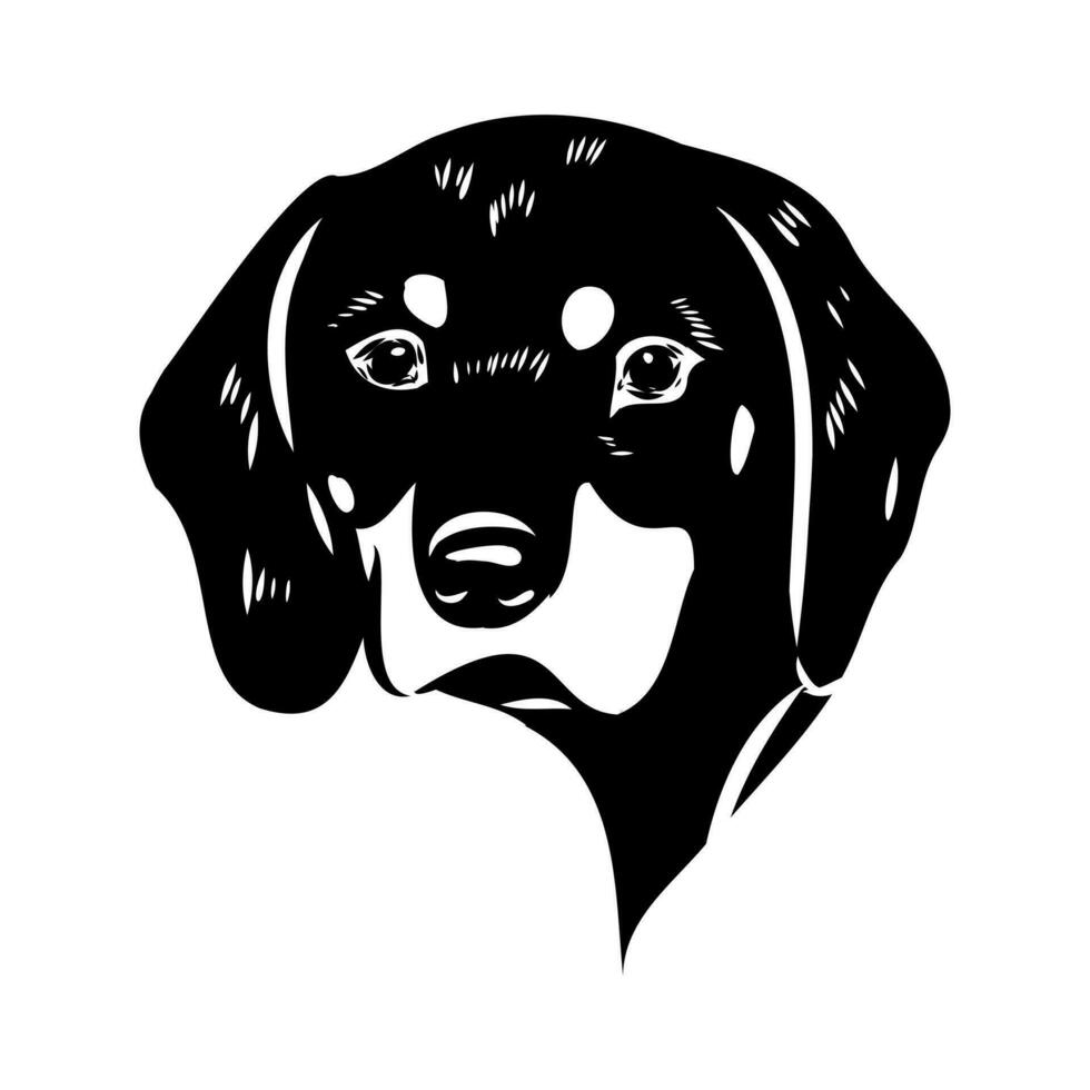 Austrian black and tan hound vector sketch